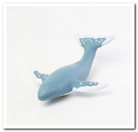 MAF-063 Humpback Whale